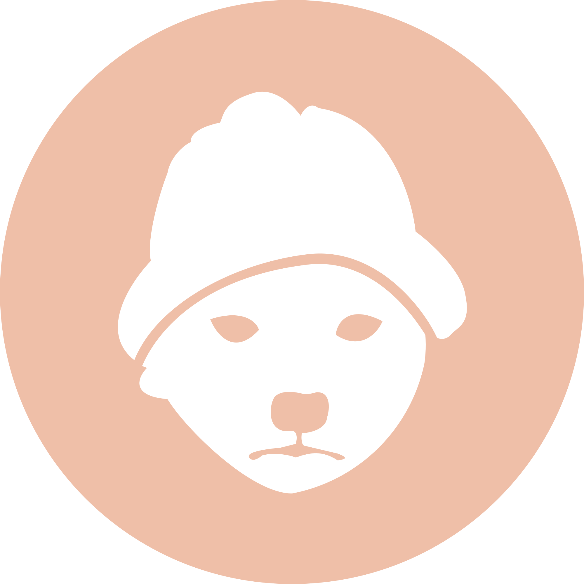 dogwifhat-wif-logo