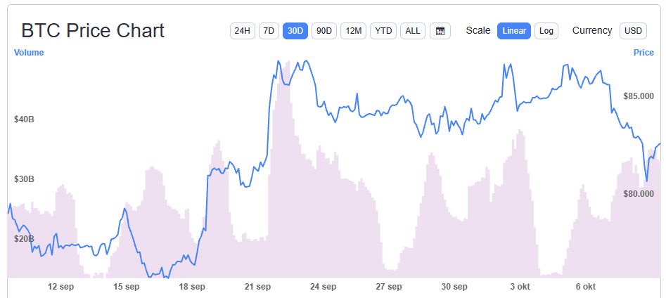 bitcoin-30-dagen